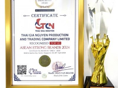 TOP 10 THƯƠNG HIỆU MẠNH ASEAN NĂM 2024